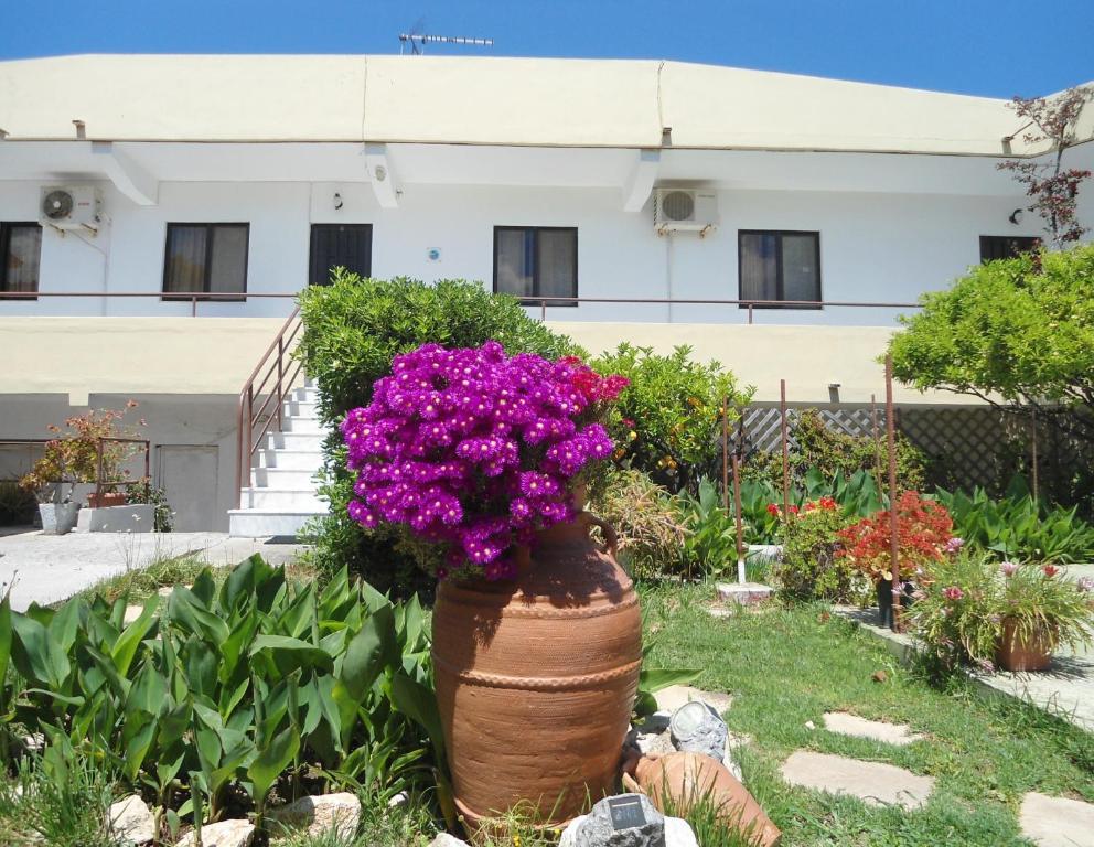 Theológos Evi Apartments And Studios חדר תמונה