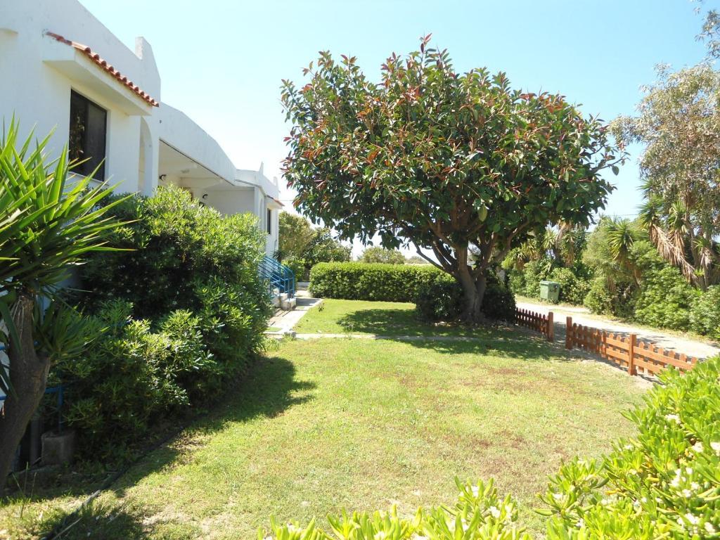 Theológos Evi Apartments And Studios חדר תמונה