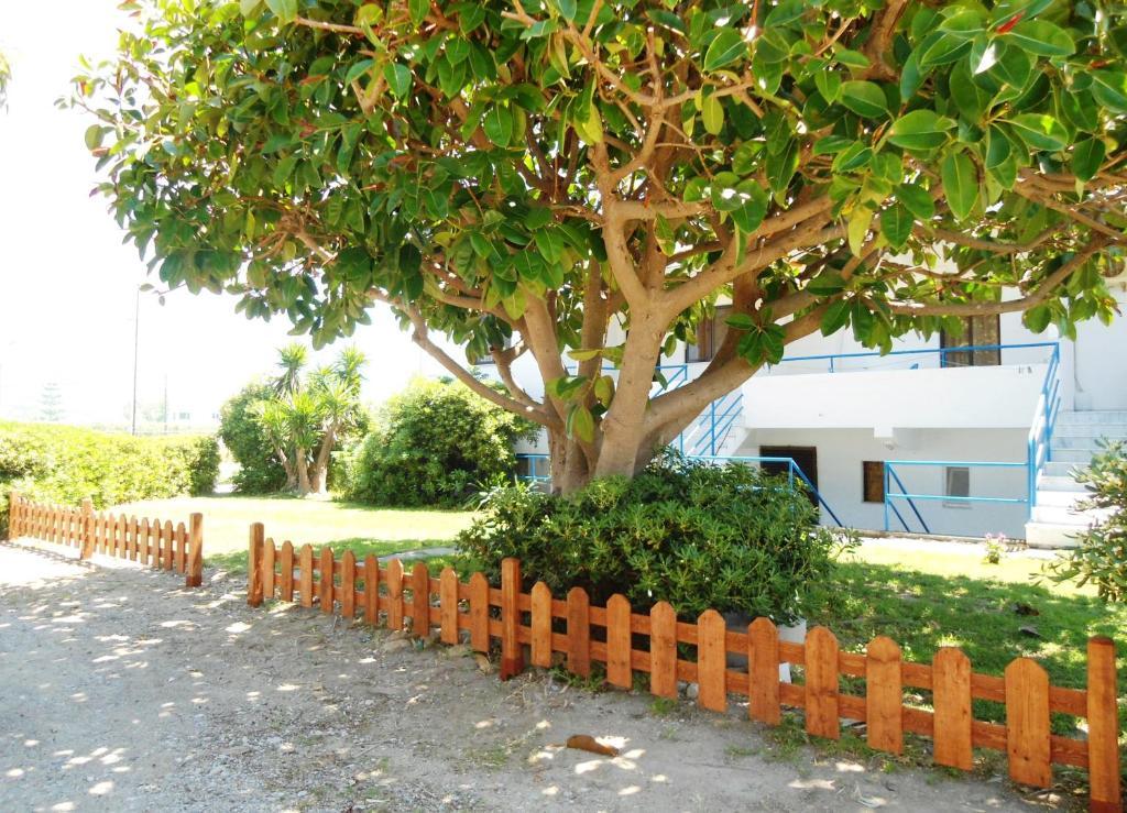 Theológos Evi Apartments And Studios חדר תמונה
